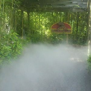 Jun. 2012-Mist by Lemur Lookout