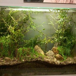 Jun. 2012-Giant Jumping Stick exhibit