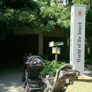 Jun. 2012-World of the Insect entrance
