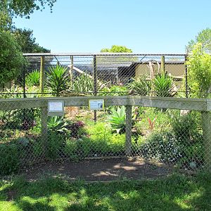 Bobcat Cage - Franklin Zoo
