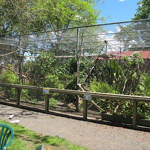 Macaque Cage - Franklin Zoo