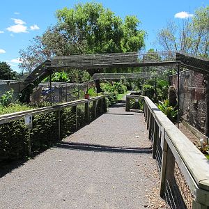 Monkey Cages - Franklin Zoo
