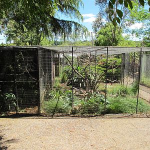 Aviaries - Franklin Zoo
