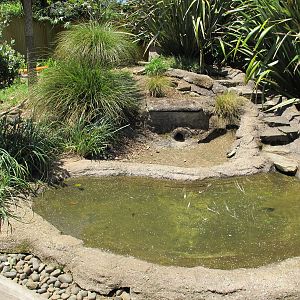 Otter Enclosure - Franklin Zoo