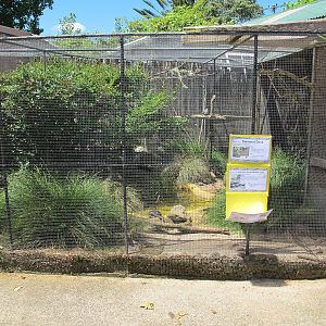 Australian Aviary - Franklin Zoo