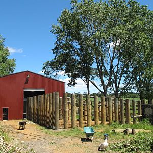 Elephant Pen - Franklin Zoo