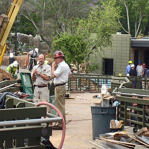 Reptile Mesa renovation