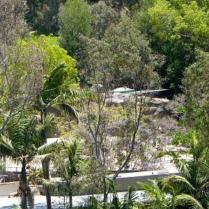 Reptile Mesa construction progress