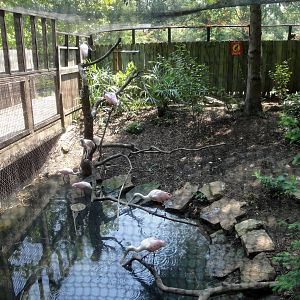 Wetlands Bird Exhibit