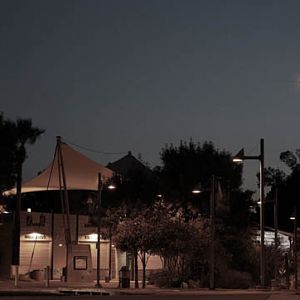 Summer Safari Nights, June 22, 2012