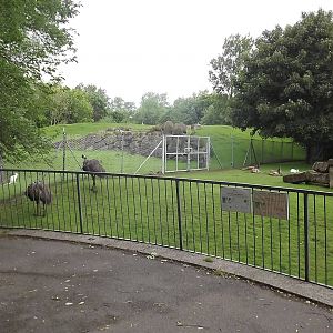 Kangaroo and Wallaby paddocks at Blackpool Zoo 17/06/12