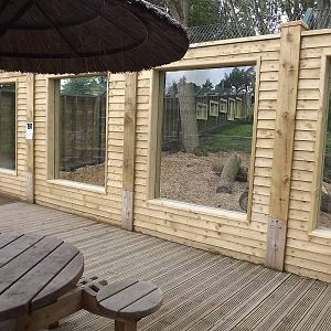Iberian Wolf exhibit at Blackpool Zoo 17/06/12