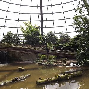 Amazonia at Blackpool Zoo 17/06/12