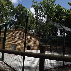 Iberian Wolf exhibit at Blackpool Zoo 17/06/12