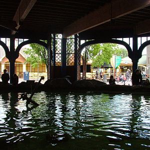 Atlantic Fishes Exhibit at Harderwijk, 01/06/12
