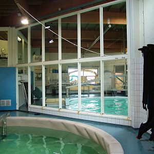 SOS Dolfijn Rehabilitation Centre at Harderwijk, 01/06/12