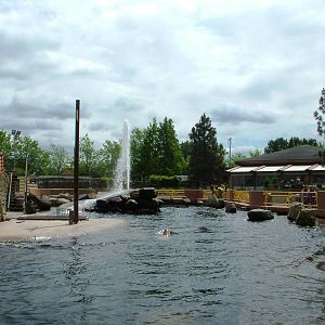 Steller's Sea Lion Exhibit at Harderwijk, 01/06/12