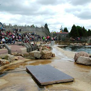 Walrus Show Seating at Harderwijk, 01/06/12