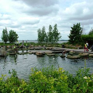 Crab Coast at Harderwijk, 01/06/12