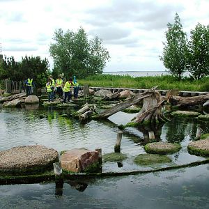 Crab Coast at Harderwijk, 01/06/12