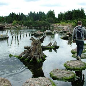 Crab Coast at Harderwijk, 01/06/12