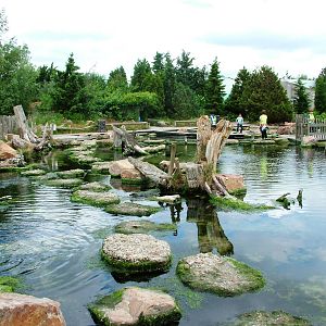 Crab Coast at Harderwijk, 01/06/12