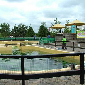 Porpoise Bay at Harderwijk, 01/06/12