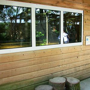 Crocodile Exhibit at Best, 02/06/12