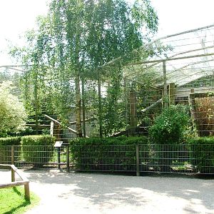 Cat Enclosures at Best, 02/06/12