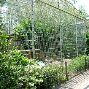 Cat Enclosures at Best, 02/06/12