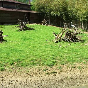 Crane and Oystercatcher Enclosure at Best, 02/06/12