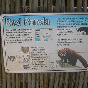 Red Panda Sign
