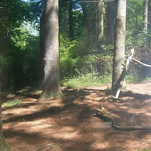 Red Panda/Goral Exhibit