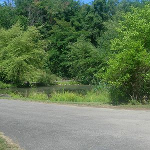 Wonders of the Wetlands exhibit