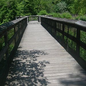 Walkway threw wetlands exhibit