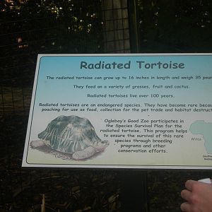 Radiated Tortoise sign