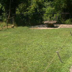 Kangaroo/wallaby exhibit