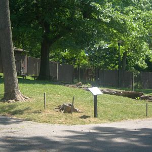 Kangaroo/wallaby exhibit