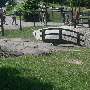 Kangaroo/wallaby exhibit