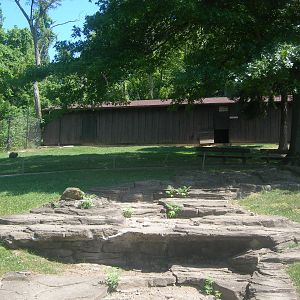 Kangaroo/wallaby exhibit