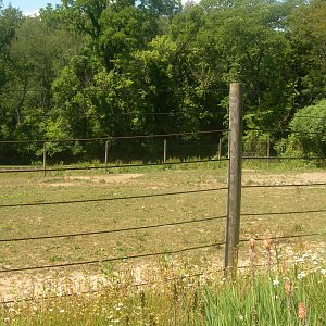 Ostrich/Grevy's Zebra Exhibit