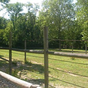 Ostrich/Grevy's Zebra Exhibit