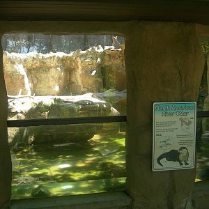 North American River Otter Exhibit