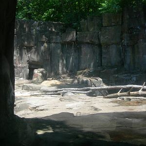 Spectacled Bear Exhibit