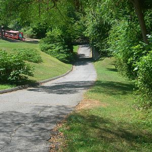 Pathway in the middle of the zoo. left side is train ride through the zoo.