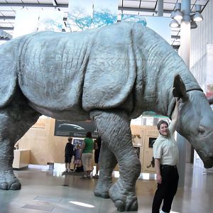 The Indricotherium and I