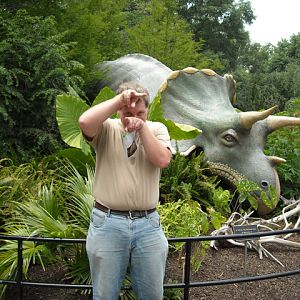 Triceratops and Triceratops impersonator
