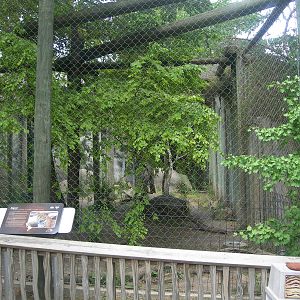 Jaguar Exhibit