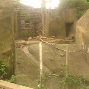 North American River Otter Exhibit