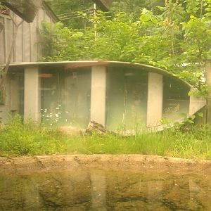 Boat in American Alligator Exhibit